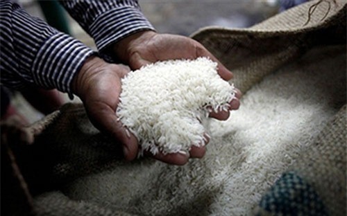 Giá gạo toàn cầu có xu hướng tăng 10-15% trong quý I/2016 