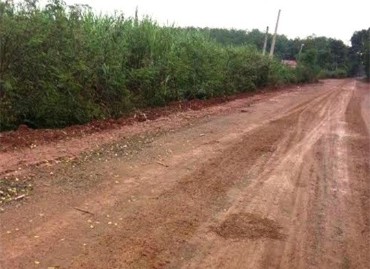 Chở vợ con đi chơi Noel về, người đàn ông bị kẻ lạ mặt đâm chết