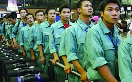 Trên 500 nghìn lao động Việt Nam đang làm việc ở nước ngoài
