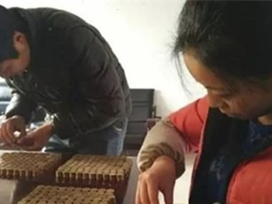 Sốc: Thanh niên mang 60kg tiền xu đi mua xe ô tô