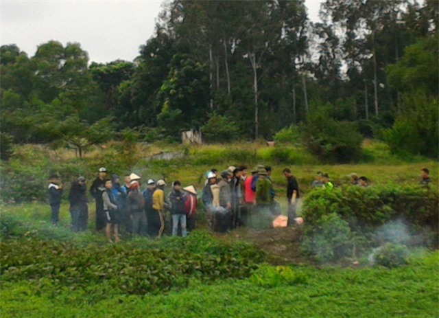 Sốc: Xác chết phân hủy trong ruộng rau muống