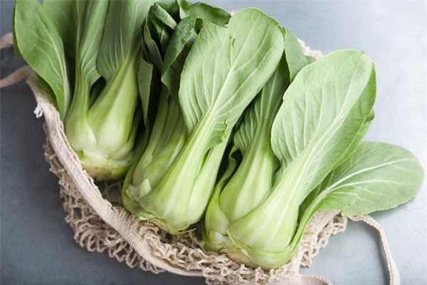 Những loại thực phẩm giàu canxi cực tốt cho cơ thể