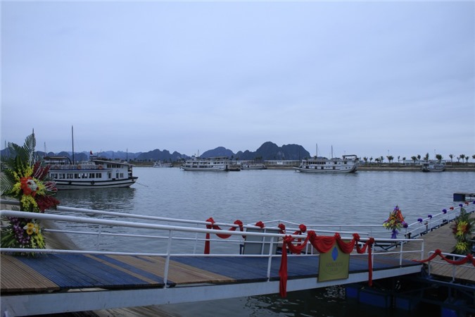Ngày đầu năm trên Cảng tàu Khách Quốc tế Tuần Châu