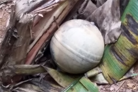 Sau tiếng nổ lớn, một vật thể lạ rơi xuống vườn nhà dân ở Yên Bái