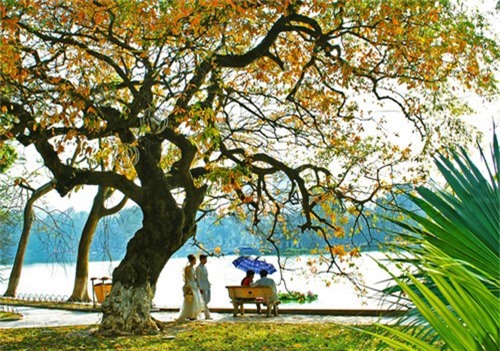 Dự báo thời tiết 3/1: Miền Bắc trời hửng nắng, thấp nhất 15oC