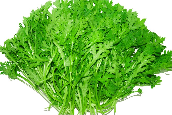 Cải cúc, thần dược của mùa lạnh