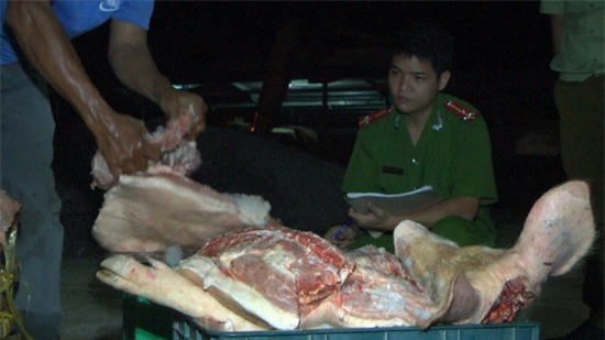 Bắt quả tang xe khách chở 400kg thịt heo thối