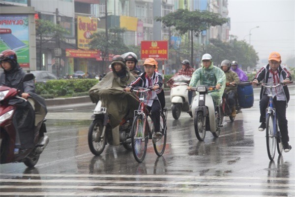 Dự báo thời tiết ngày 12/1: Miền Bắc có mưa, trời rét