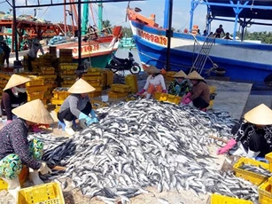 Việt - Thái sắp lập đường dây nóng hoạt động nghề cá
