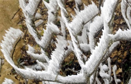 Dự báo thời tiết 16/1: Bắc Bộ đón không khí lạnh mạnh, vùng núi có băng tuyết