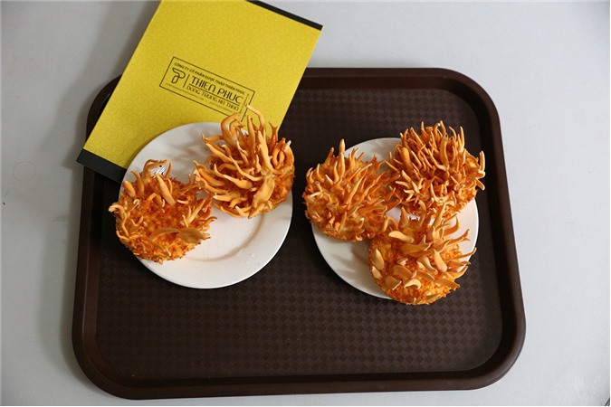 Đông trùng hạ thảo-Gói quà Tết ý nghĩa