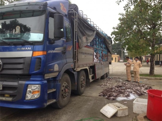 Bắt 20,4 tấn mực, cá khô hôi thối tuồn về Hà Nội 