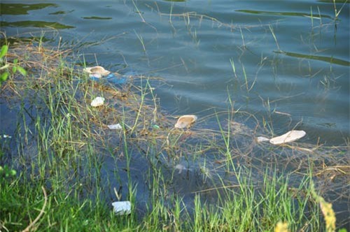 Nghi án nữ sinh lớp 8 tự tử vì mẹ bắt nghỉ học ở nhà trông em