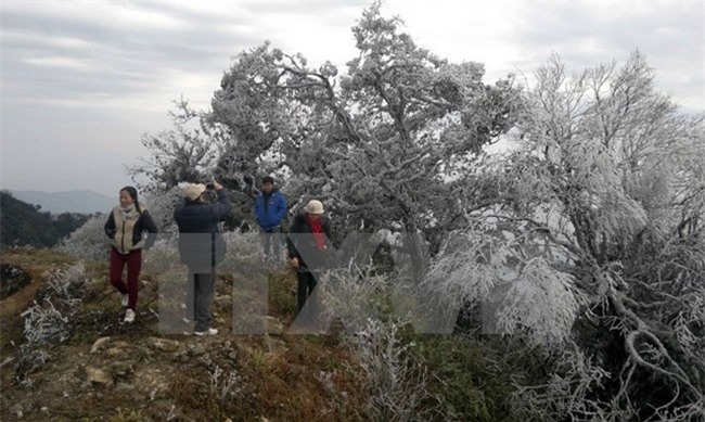 Từ 23-27/1, Hà Nội có thể rét 6 độ C, vùng núi xuất hiệt mưa tuyết và băng giá