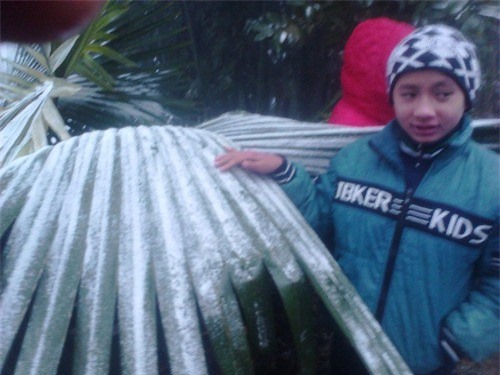 Nghệ An xuất hiện tuyết rơi trên diện rộng