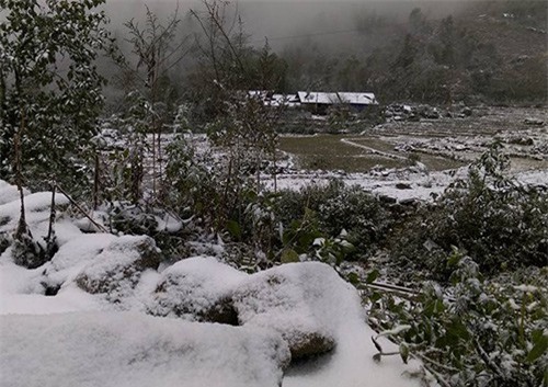 Thời tiết 10 ngày tới: Miền Bắc tiếp tục chìm trong giá rét, đề phòng băng giá