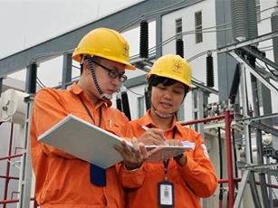 EVN cần xây dựng giá điện theo biến động của giá khí và giá than