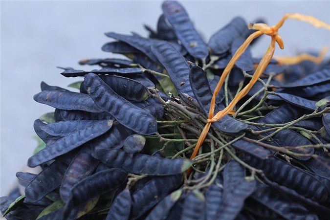 Những mẹo nhỏ giúp bạn tránh muỗi mà không dùng tới hóa chất