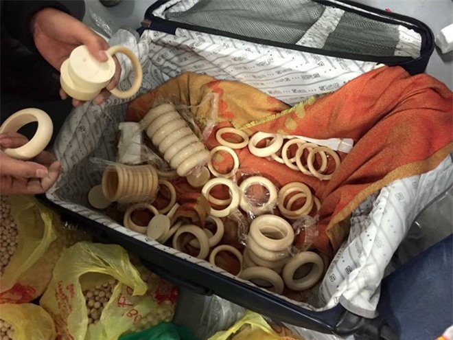 Thu giữ 180 kg ngà voi từ Châu Phi về Hà Nội ở sân bay Nội Bài