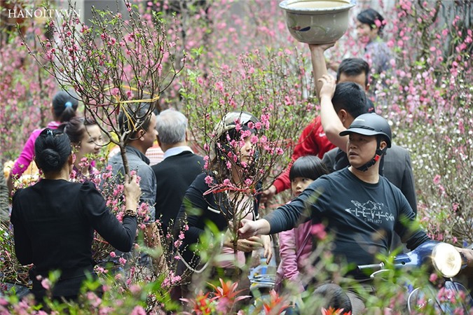 Hà Nội cho phép mở 47 điểm chợ hoa Xuân Tết Bính Thân 2016