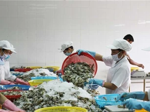 An toàn thực phẩm là thách thức lớn của Việt Nam