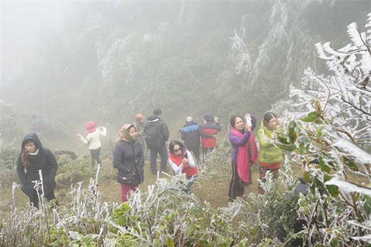 Vùng núi phía Bắc khả năng xuất hiện băng giá và sương muối