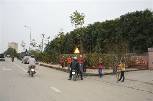 Chiều 29 Tết, chợ hoa tại thành phố đỏ vẫn nhộn nhịp