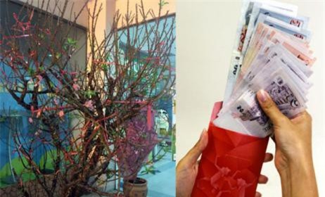 Doanh nhân mạnh tay chi 60 triệu sắm đào Tết