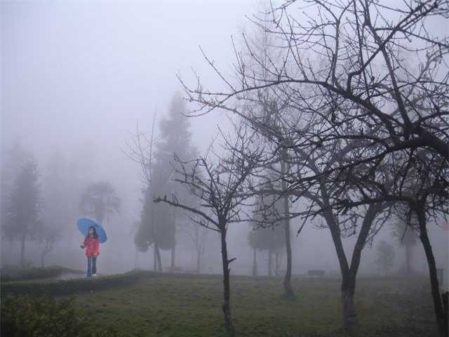 Dự báo thời tiết 11/2: Miền Bắc sáng sớm có sương mù