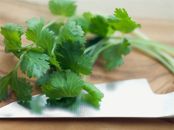 Rau mùi và khả năng làm đẹp mà chị em nên biết