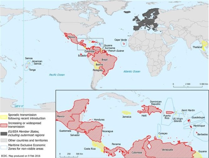 Xác nhận virus Zika "ăn" não người ở trẻ sơ sinh