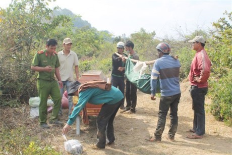 Kinh hãi phát hiện thi thể nam thanh niên chết bất thường trên đồi thông