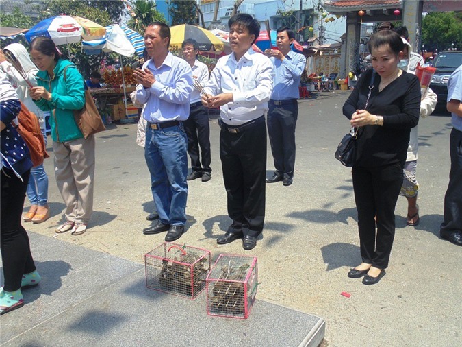 TP. HCM: Đi chùa rằm tháng Giêng phóng sinh vô tình thành sát sinh
