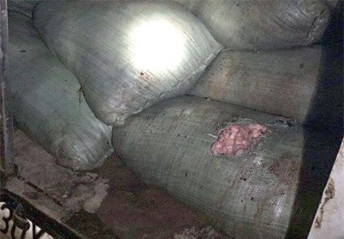 Bắt giữ hơn nửa tấn mỡ bò thối tuồn vào Hà Nội