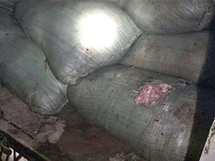 Bắt giữ hơn nửa tấn mỡ bò thối tuồn vào Hà Nội