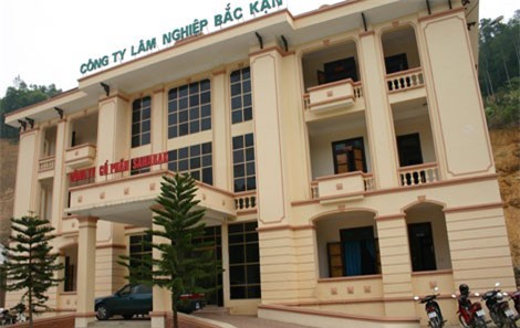 Nhà nước giữ 100% vốn điều lệ tại Công ty Lâm nghiệp Bắc Kạn