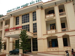 Nhà nước giữ 100% vốn điều lệ tại Công ty Lâm nghiệp Bắc Kạn