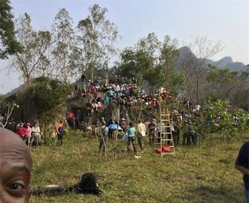 Đoàn phim King Kong 2 tuyển diễn viên Việt Nam