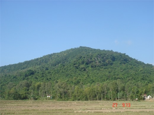 Kinh hoàng phát hiện thi thể đang phân hủy trên đồi thông