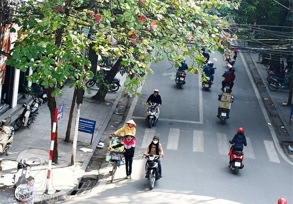 Thời tiết ngày 1/3: Miền Bắc ngày nắng, đêm và sáng trời rét