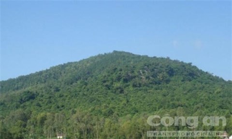 Tìm danh tính người đàn ông chết trong tư thế treo cổ ở đồi thông