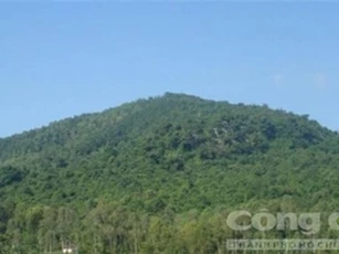 Tìm danh tính người đàn ông chết trong tư thế treo cổ ở đồi thông