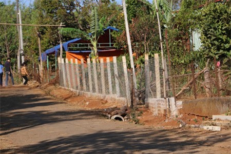 Chặt cây lấy củi để chuẩn bị tiệc cưới cho con, mẹ bị đè chết