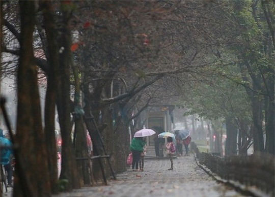 Dự báo thời tiết 5/3: Miền Bắc có mưa, sương mù nhẹ