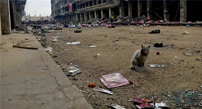 Quân đội Thổ Nhĩ Kỳ nã một loạt pháo vào IS tại Bắc Syria