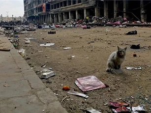 Quân đội Thổ Nhĩ Kỳ nã một loạt pháo vào IS tại Bắc Syria
