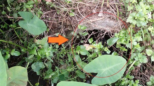 Thái Nguyên: Cty CP Xây dựng và SXVL cầu Đa Phúc xả thải gây ô nhiễm môi trường?