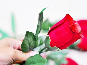 Nhộn nhịp thị trường hoa, quà tặng ngày 8/3