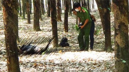 Hoảng hốt phát hiện người đàn ông chết cháy trong rừng cao su