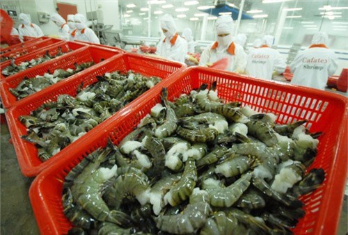 Mỹ rà soát lệnh áp thuế chống bán phá giá tôm của Việt Nam